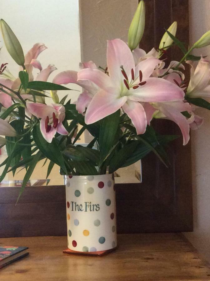 The Firs At Hay-On-Wye B&B Exterior foto